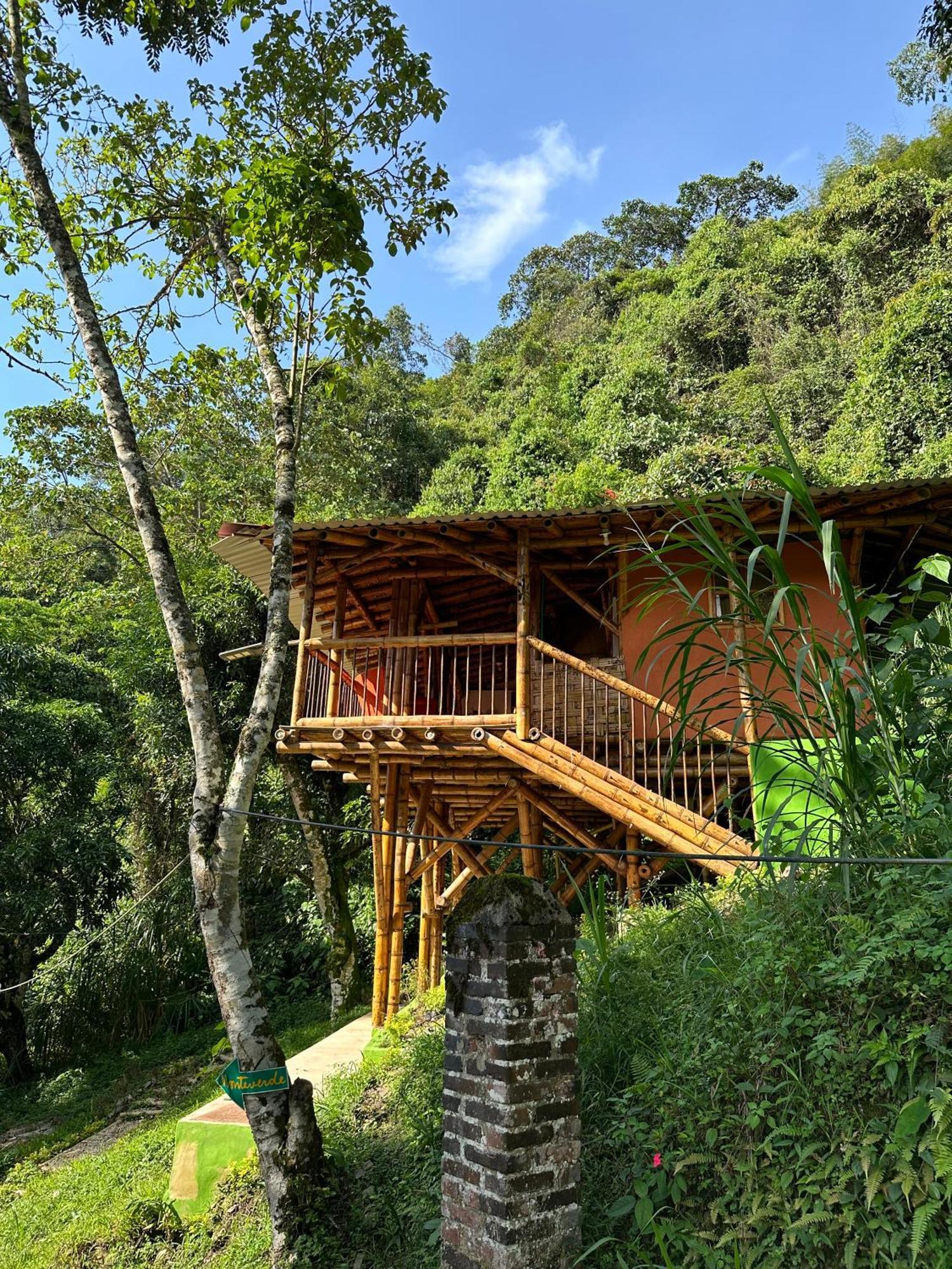 Ecohotel Monteverde La Vega  Εξωτερικό φωτογραφία