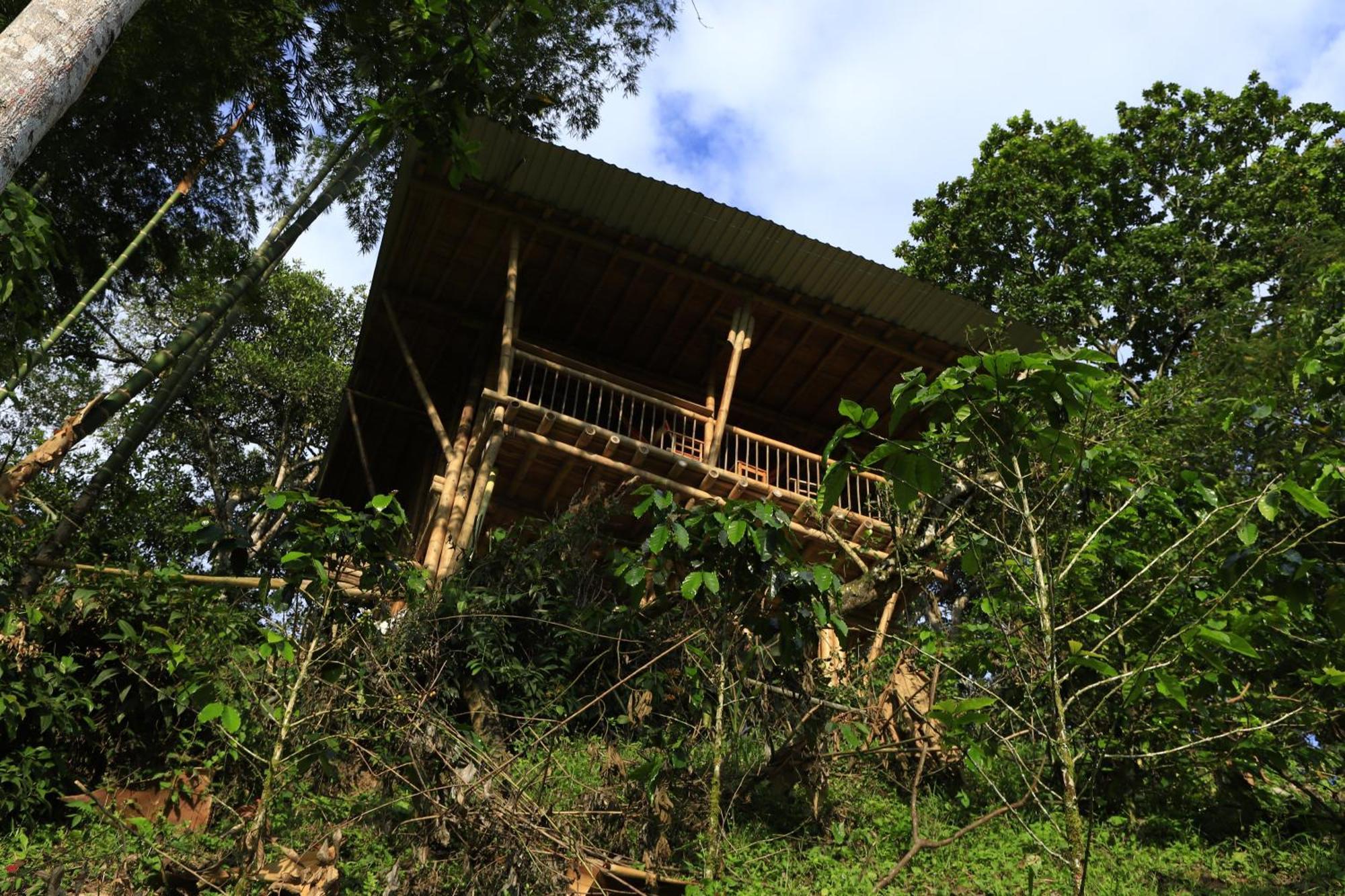 Ecohotel Monteverde La Vega  Εξωτερικό φωτογραφία