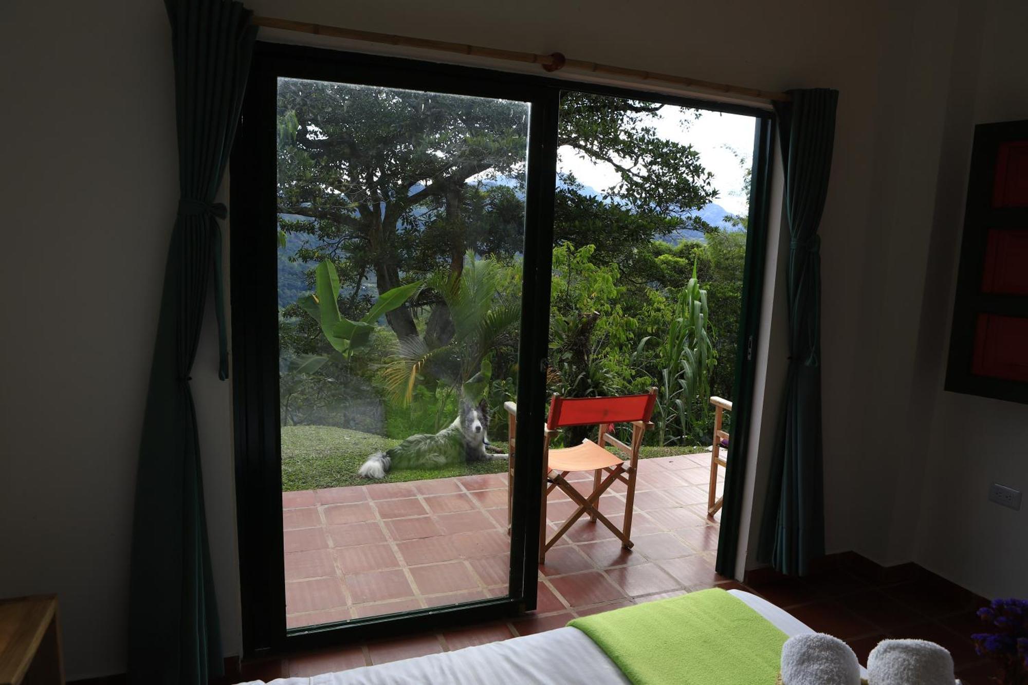 Ecohotel Monteverde La Vega  Εξωτερικό φωτογραφία